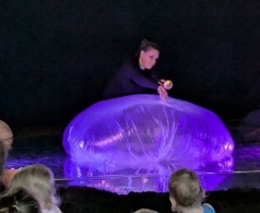 Spectacle Prémices